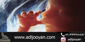 در چه مواردی سقط جنین قصاص دارد؟